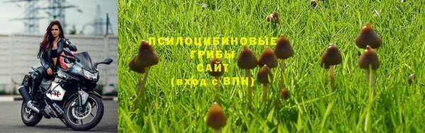 apvp Аркадак