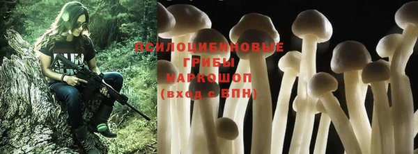 mdpv Арсеньев