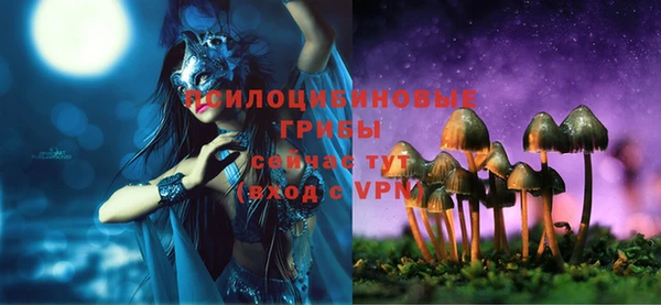 apvp Аркадак