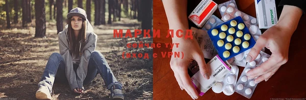 apvp Аркадак